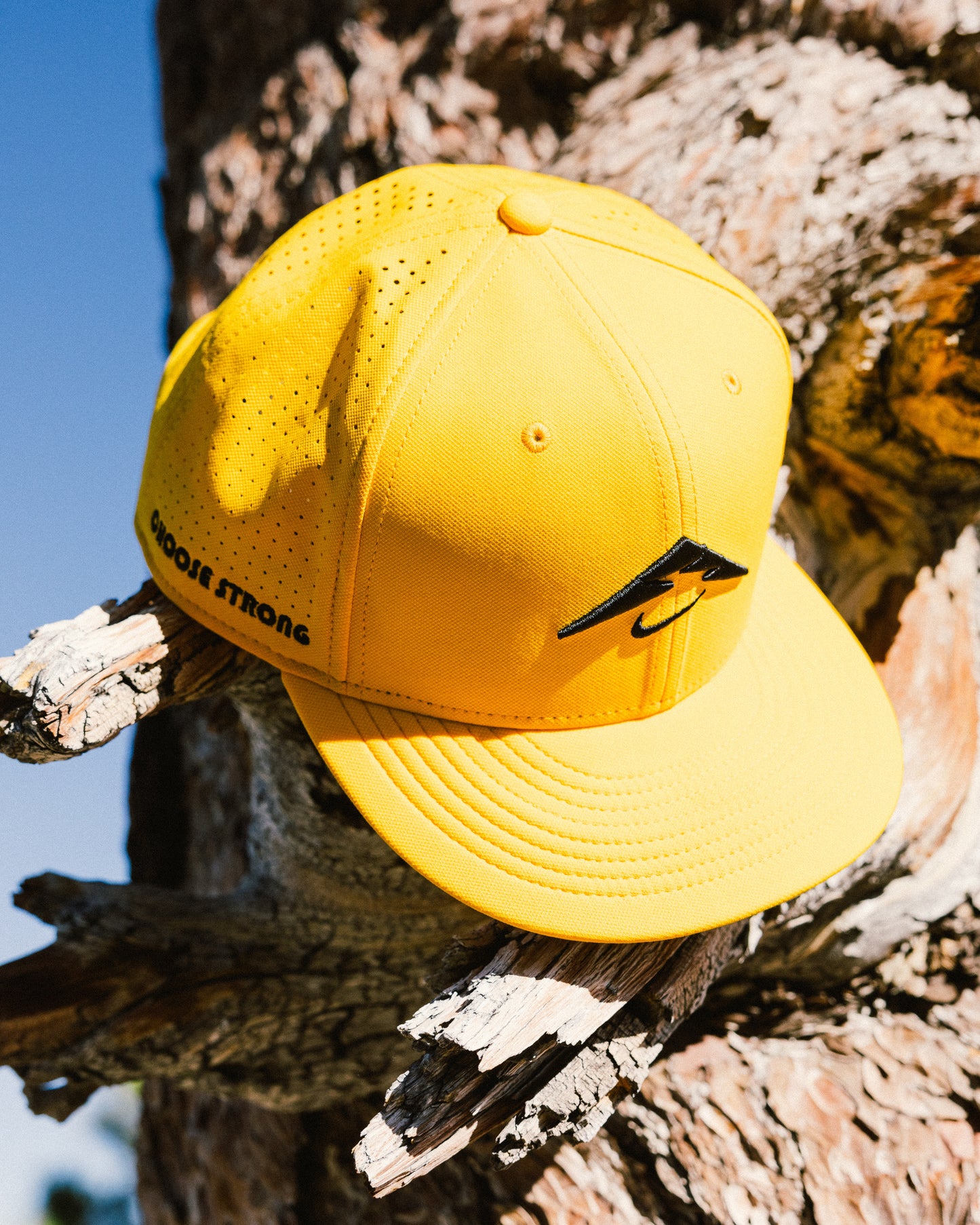 Sally's Yellow Hat - (PRE-ORDER)