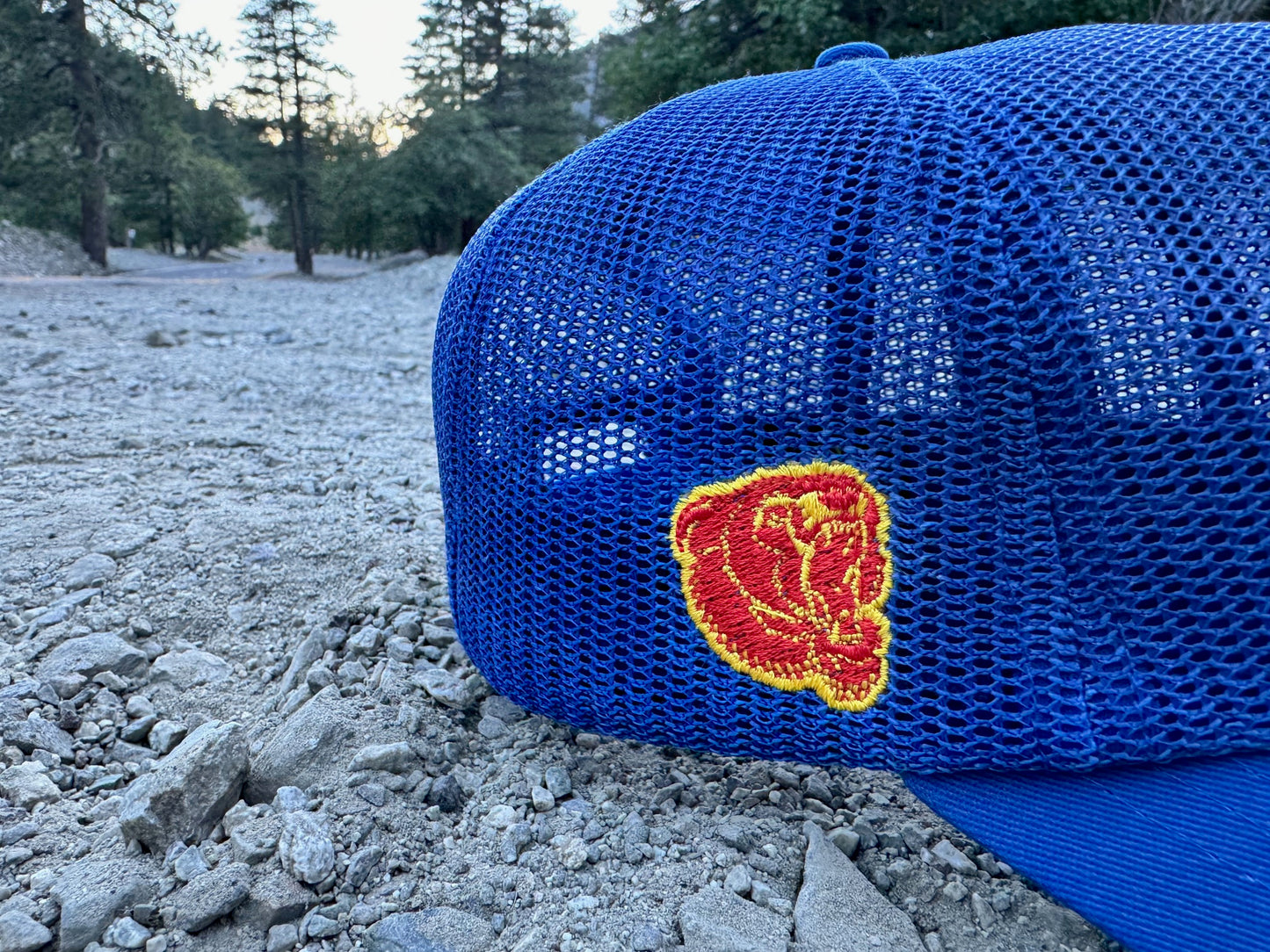 THE “STAY STURDY” HAT (Now In Stock) !